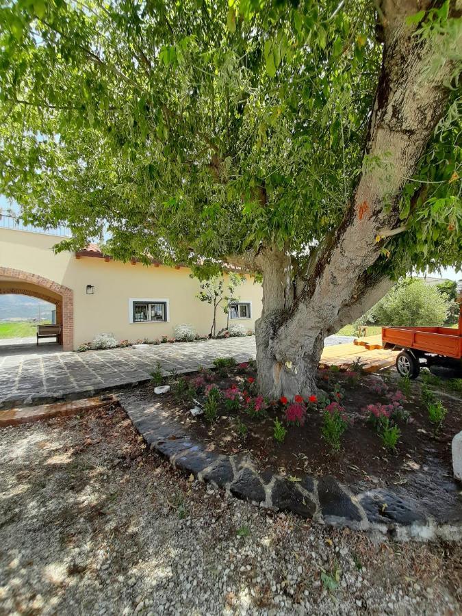 B&B Tenuta San Michele Capaccio Extérieur photo