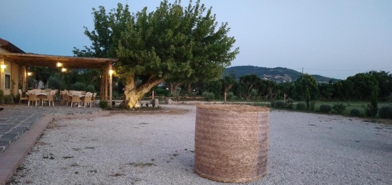 B&B Tenuta San Michele Capaccio Extérieur photo