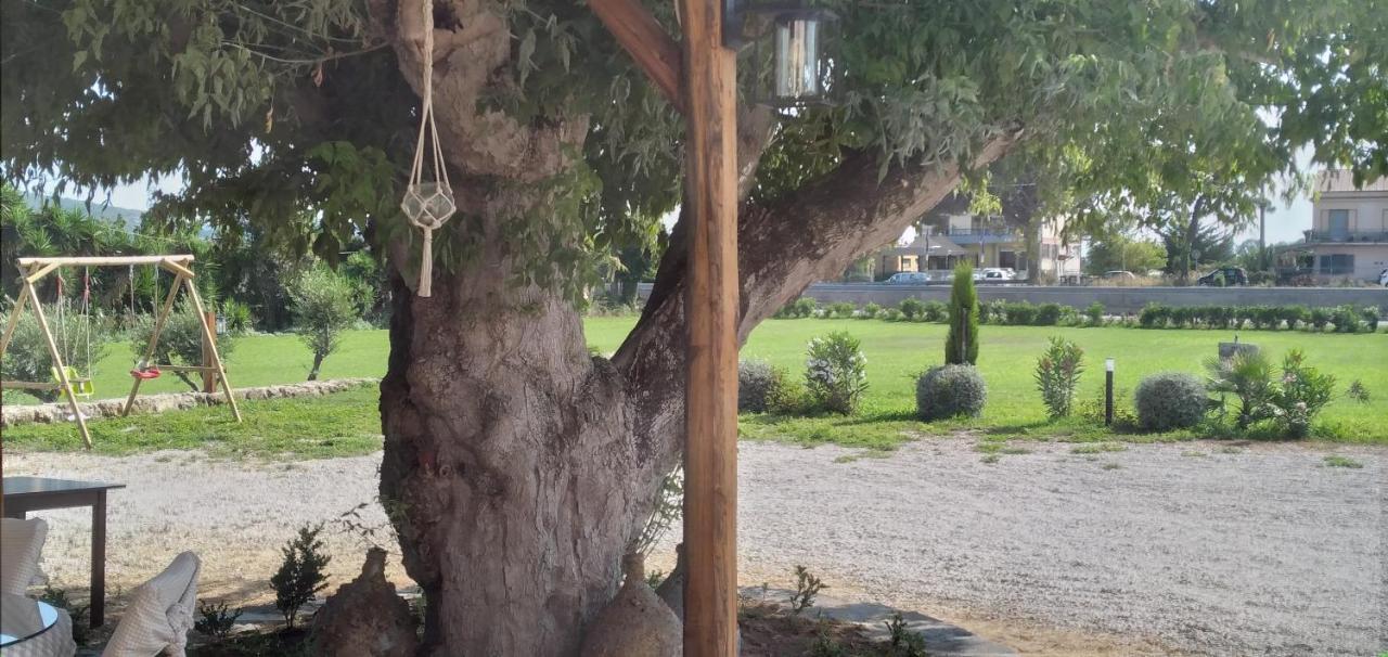 B&B Tenuta San Michele Capaccio Extérieur photo