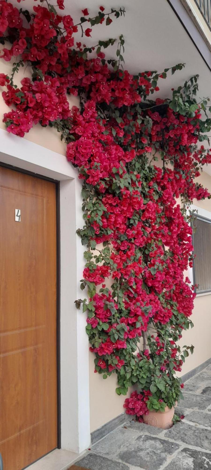 B&B Tenuta San Michele Capaccio Extérieur photo